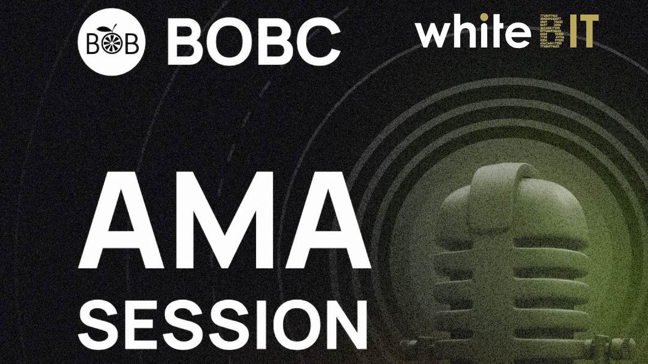 Q&A - Bobcoin AMA on Whitebit!